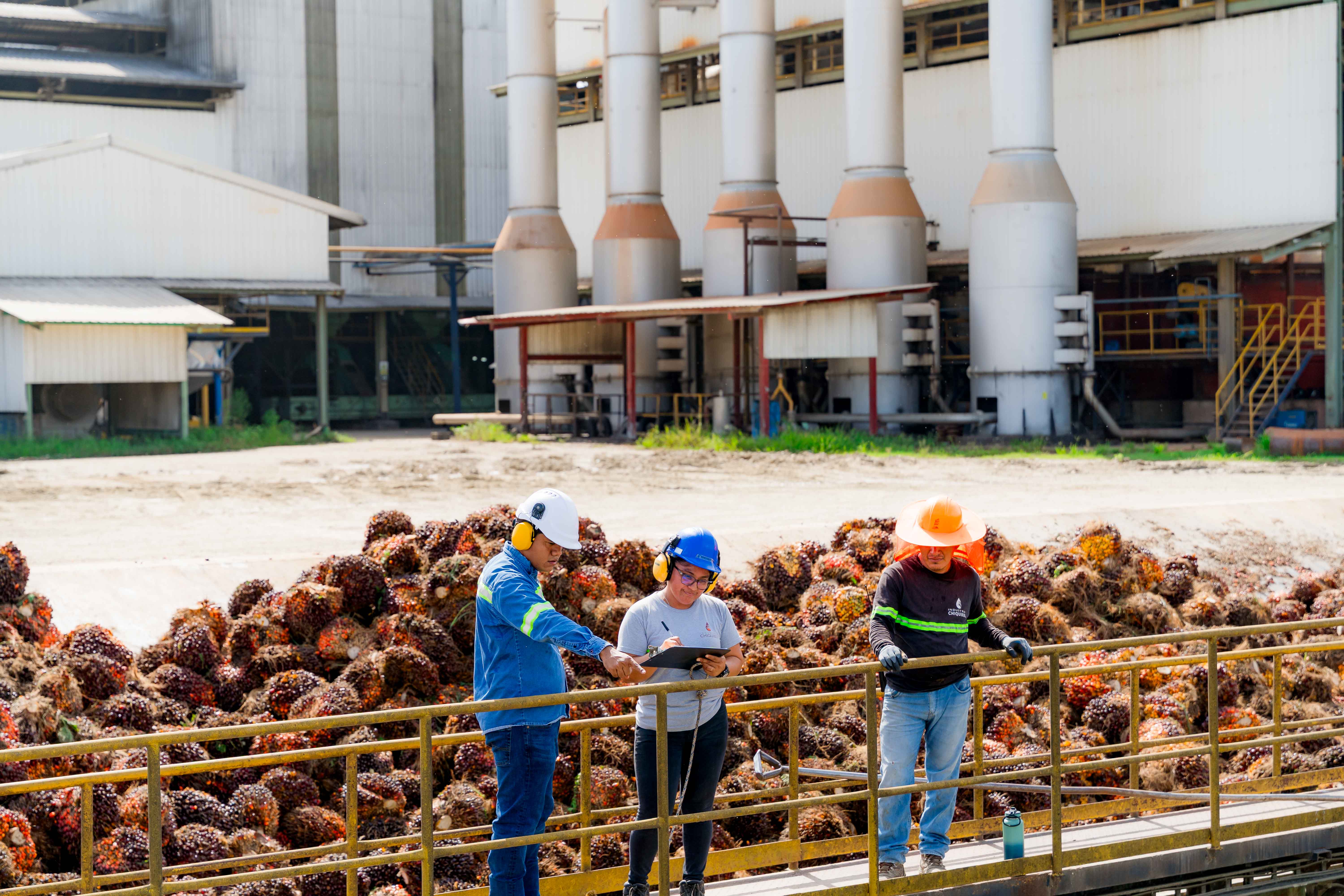 INDUSTRIA CHIQUIBUL EN UN PROCESO POSITIVO TRAS EVALUACIÓN DE DERECHOS HUMANOS